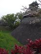 kyushuhou 392.jpg