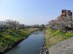 kyushuhou 524.jpg